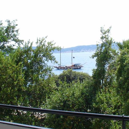 Apartment Jelena Zadar Bagian luar foto