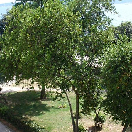 Apartment Jelena Zadar Bagian luar foto