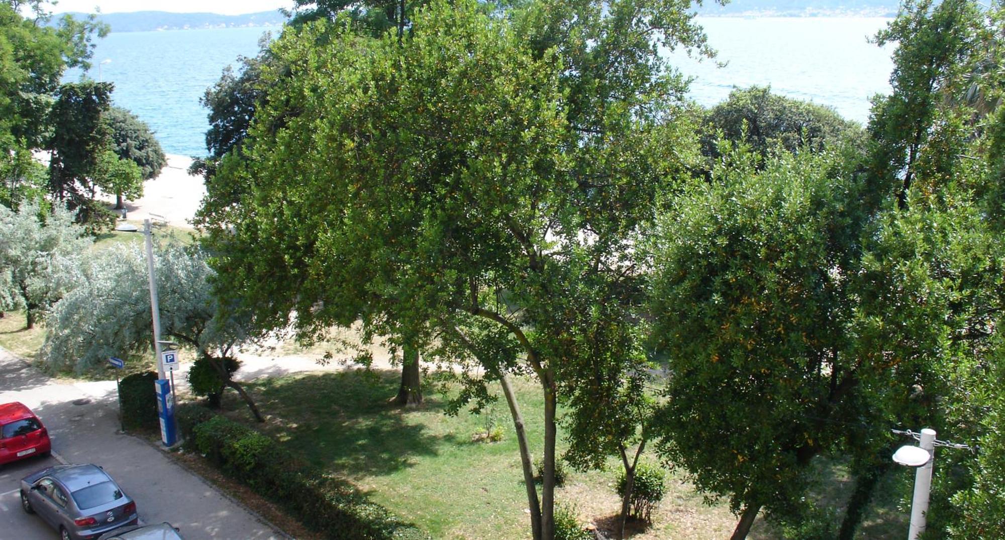 Apartment Jelena Zadar Bagian luar foto